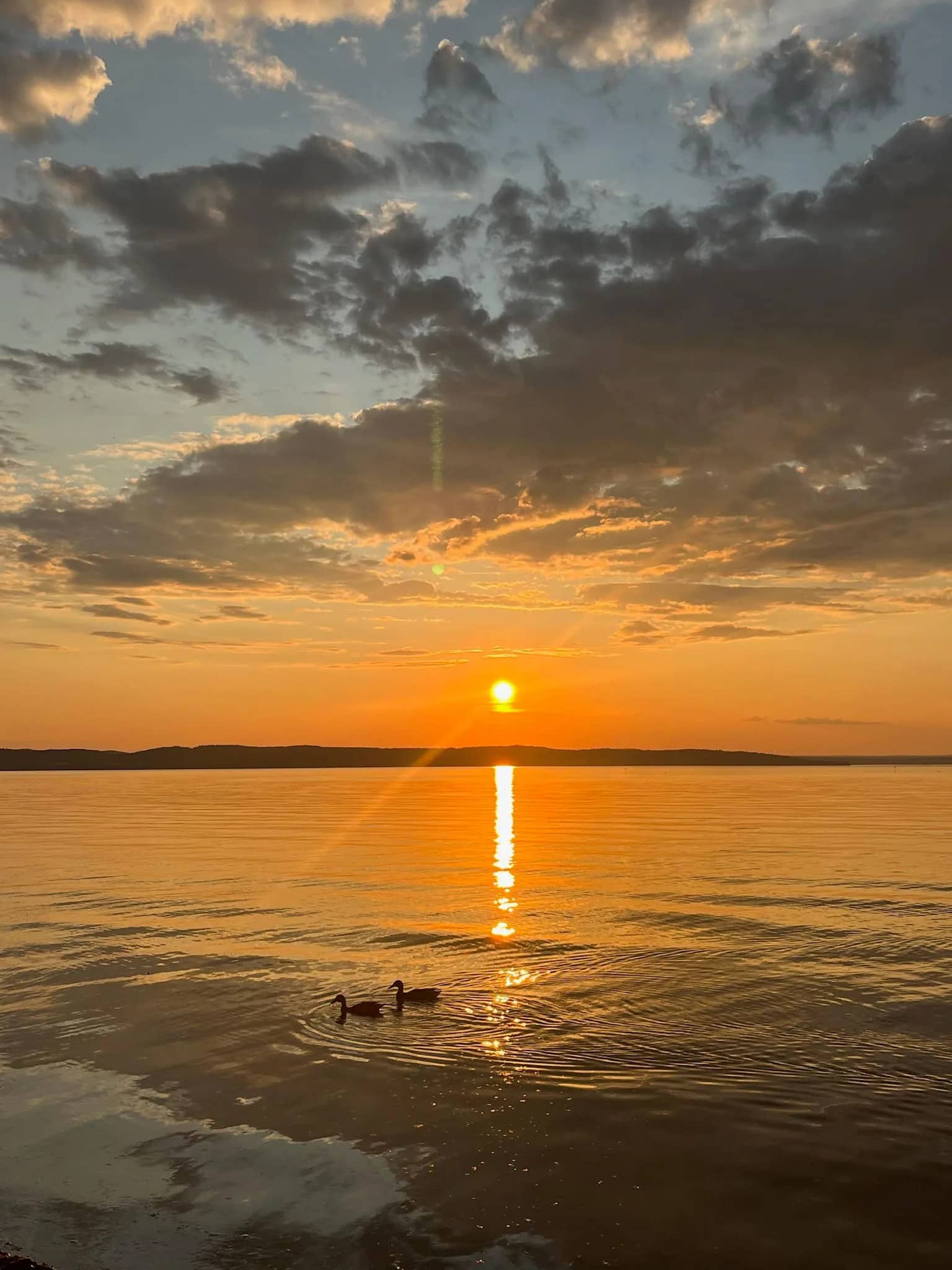 Vättern vid solnedgång — ankor på stilla vatten nära Huskvarna